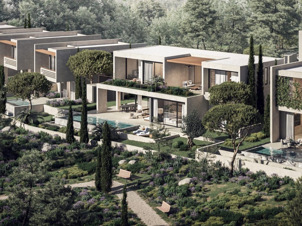 Konia Green project view